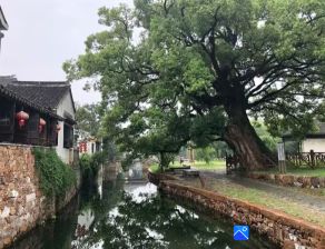 【箩筐·遇见】漫步西山岛（散文）