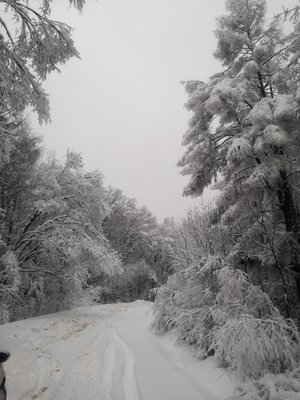 【宁静】初冬的飞雪（诗歌）