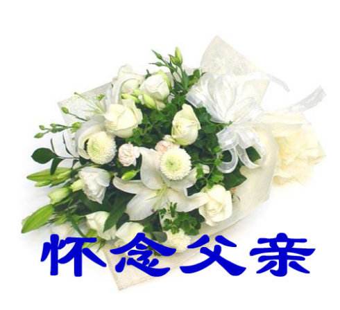 【柳岸】父亲（散文）