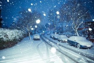【八一】第一场雪（随笔·家园）