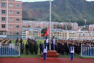 移动的“森林”（记叙文）