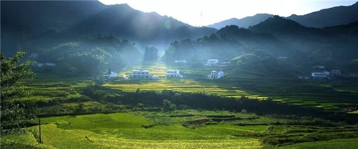 【晓荷】刈草清馥动乡愁（散文）