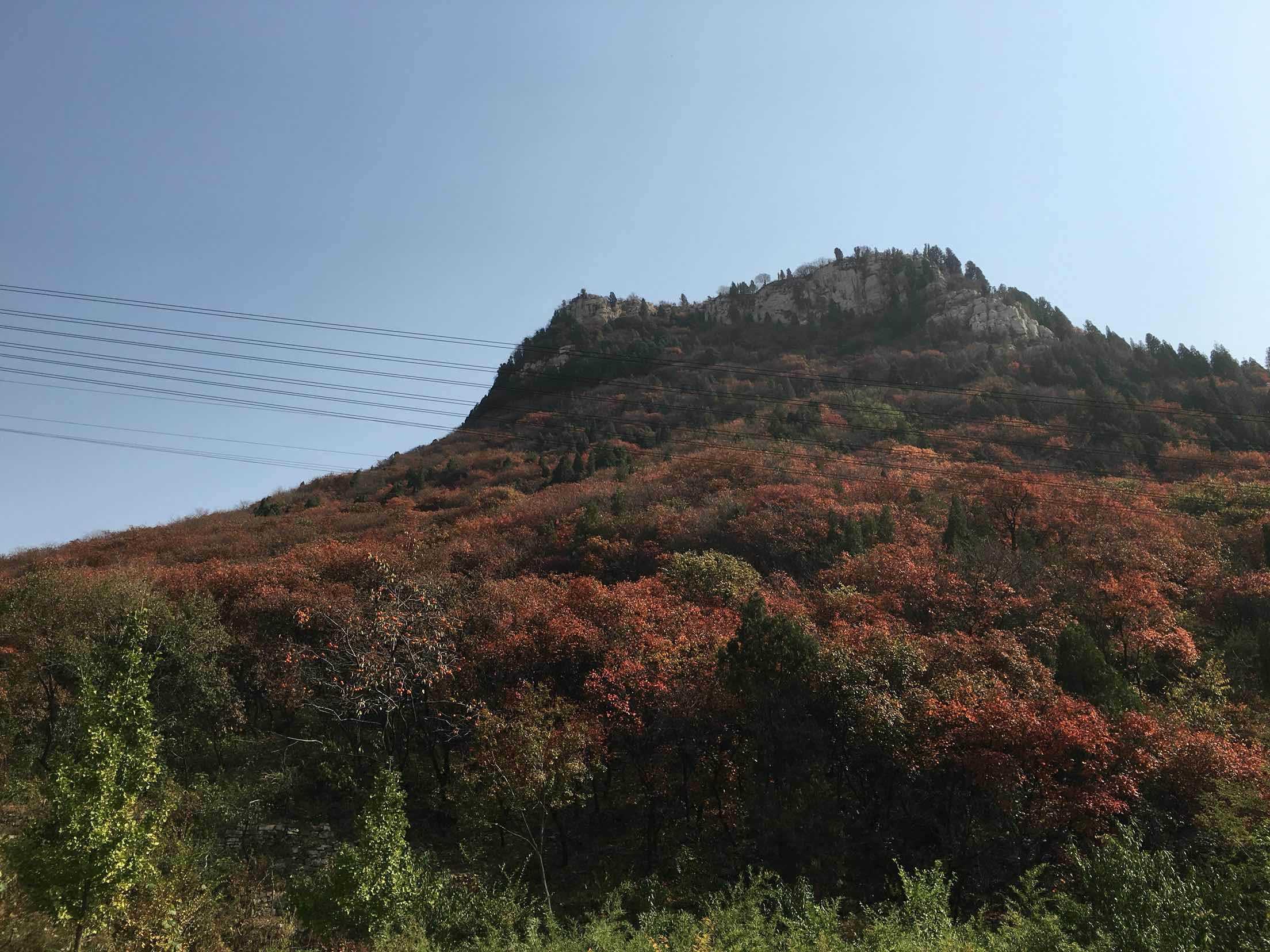 【轻舞】一谷秋意惹相思（散文）