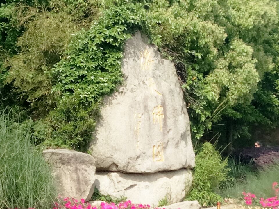 【晓荷·见闻】再游普陀山（散文·征文）