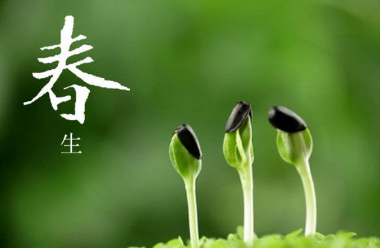 【星月】早春（诗歌）