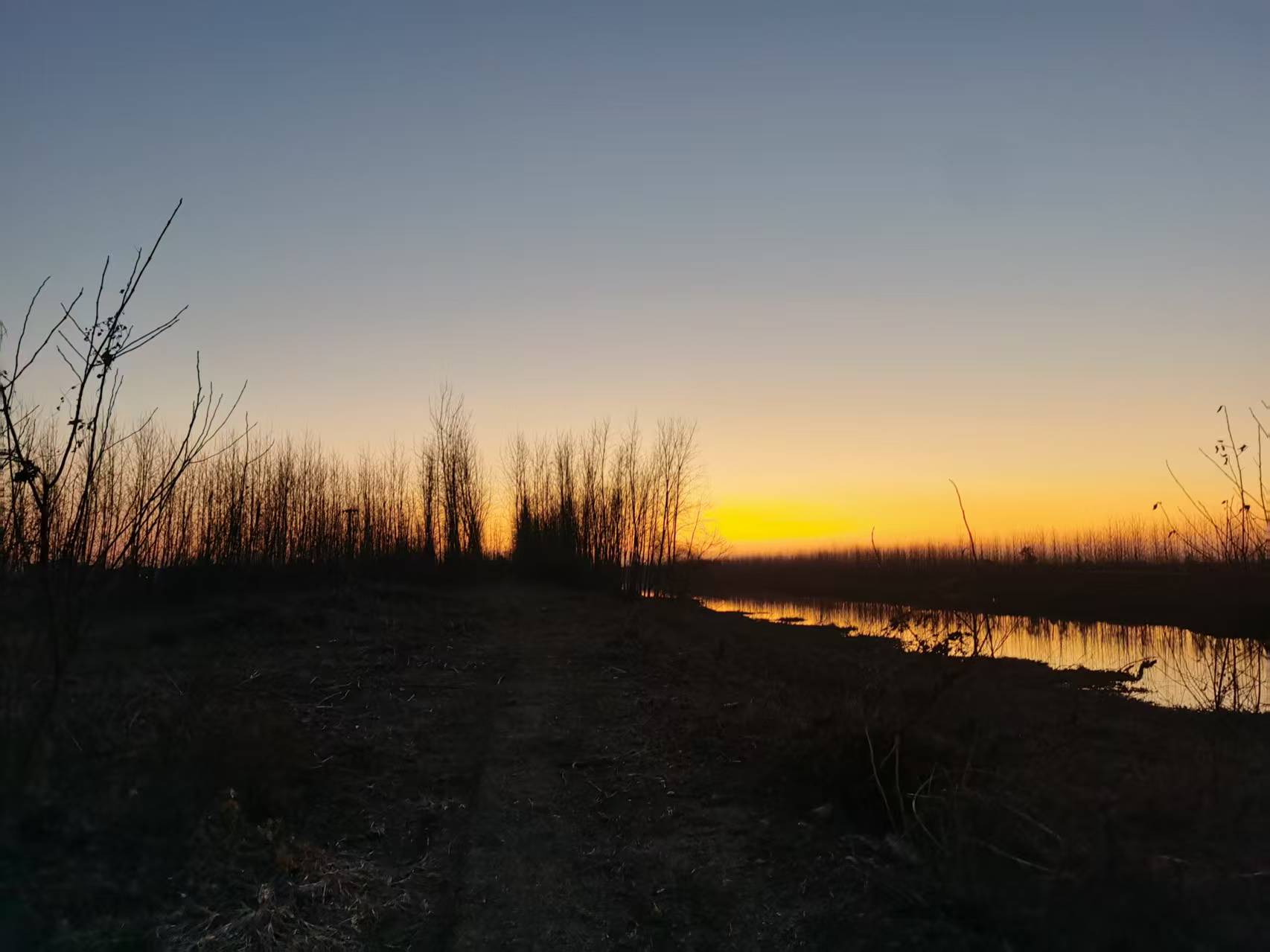 【晓荷·酿】黄昏（散文）