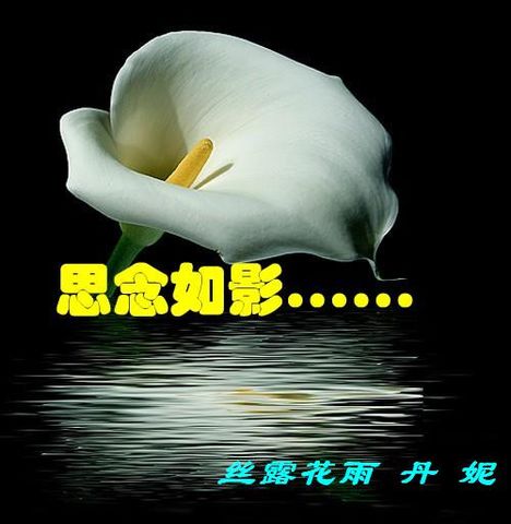 【清韵】秋思，墨语（诗歌）