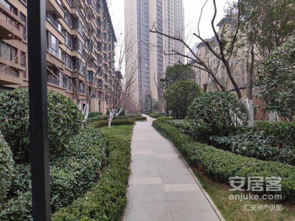 【八一】辛家庙：我的都市家园（随笔）