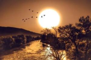 【八一】乡关何处（组诗）