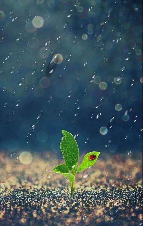 【八一】敬畏生命（散文）