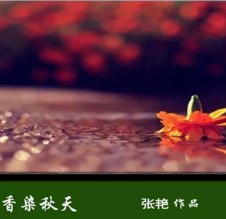 【柳岸•念】香染秋天（诗三首）