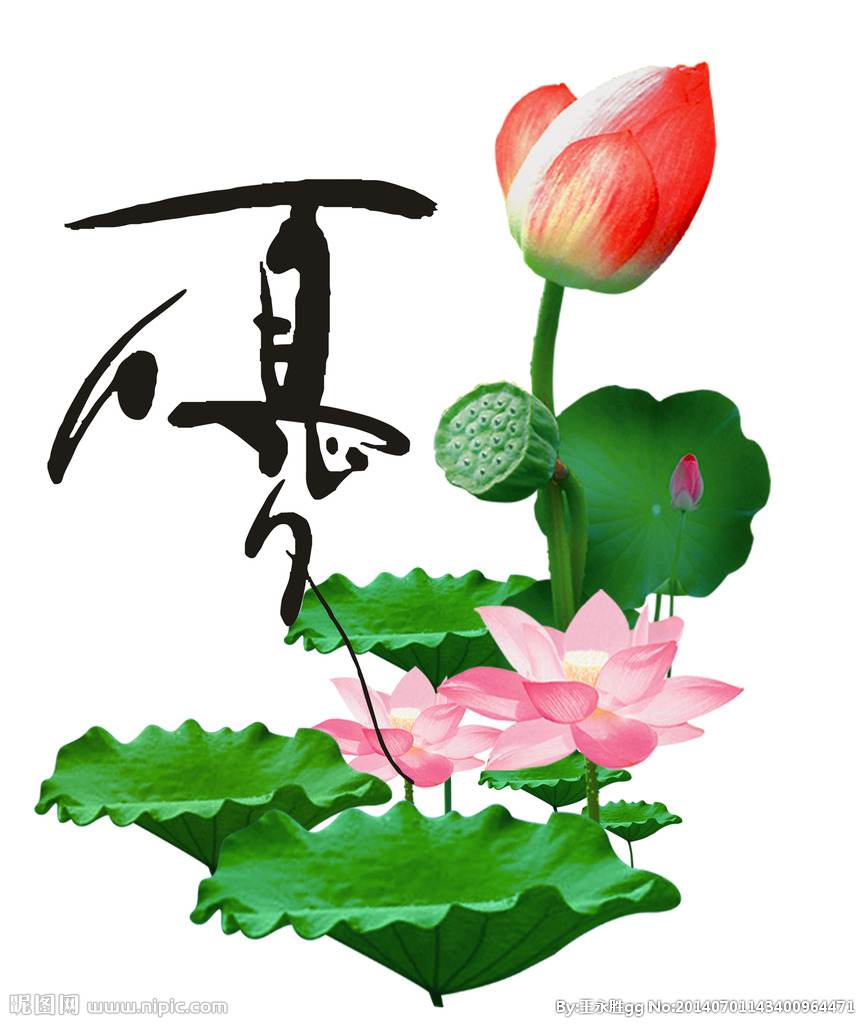 【荷塘“夏日风情”征文】夏景三题（散文）