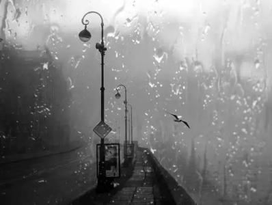 【八一】雨中贴（外二首·家园）