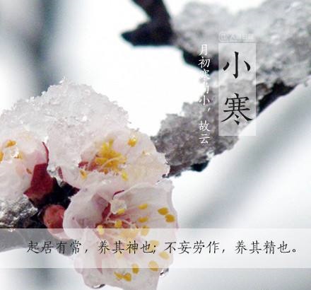 【南山】小寒记（古韵）