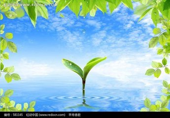 生命是什么（儿童诗）