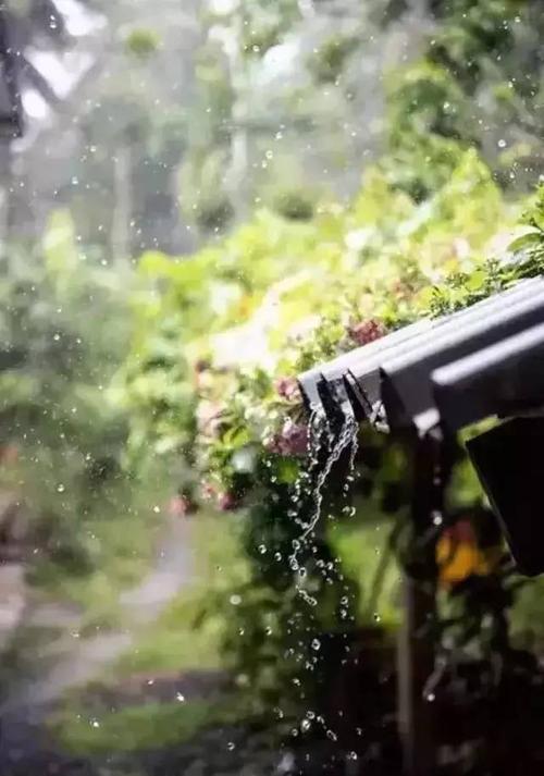 【八一】春雨（散文）