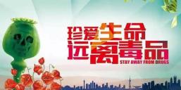 【八一】一朵带血的罂粟花（小说）