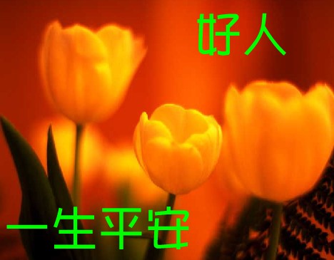 【丁香】这半生（散文）