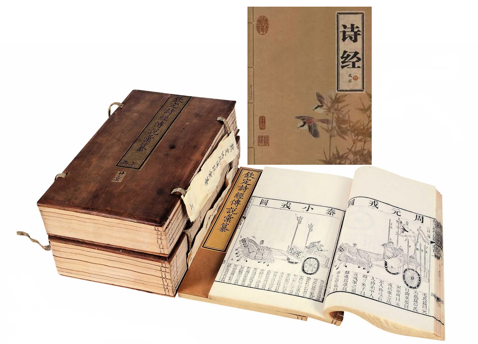 【读名著·传经典】【菊韵】对《诗经、氓》浓烈抒情的艺术表现之简析（赏析）