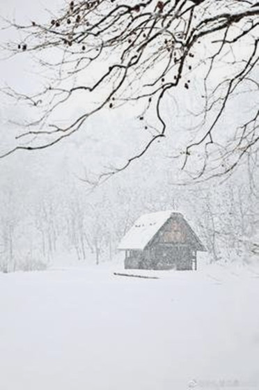 【文璞·寻春】临江仙·大雪寄儿（古韵外四首）