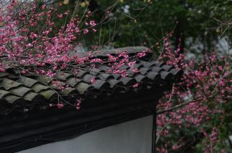 【八一】墙角下的一块老砖（外二首·家园）