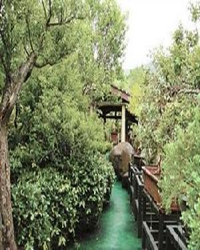 青城山上问大千