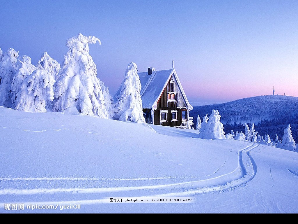 【丁香】又是瑞雪飞来时（散文）