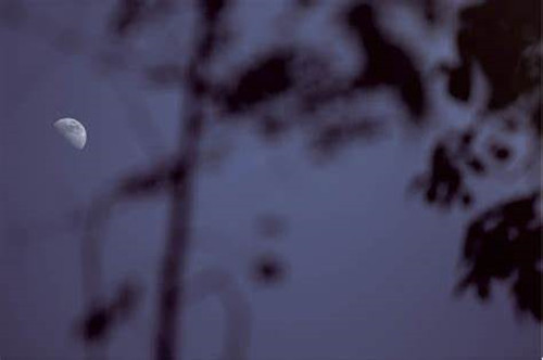 【摆渡·中秋】我语清风送秋月（散文）