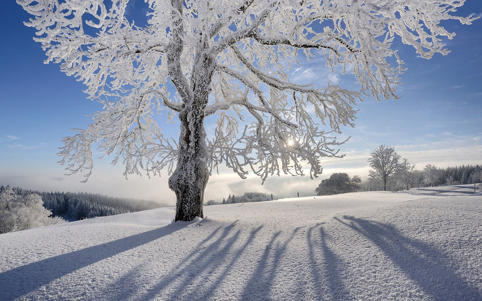 【摆渡】摆渡诗友同题咏雪（组诗）