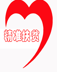 今天是个好日子