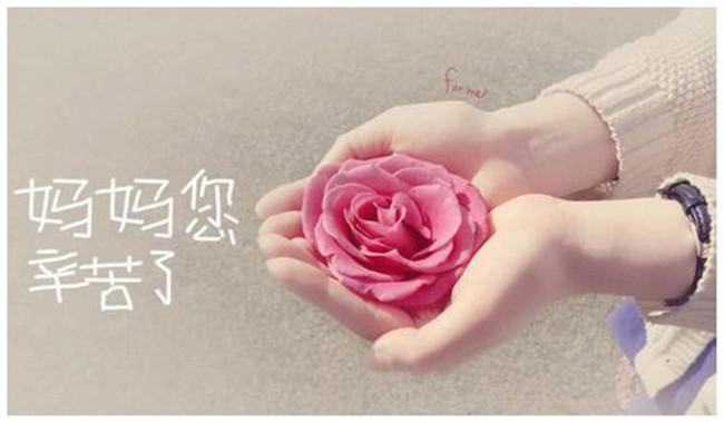 【八一】醒着，等您入梦（散文）