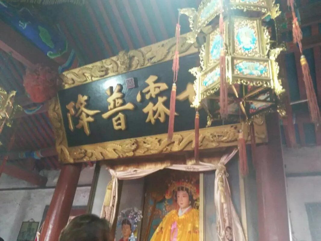 【百味】春访圣井岗（散文）