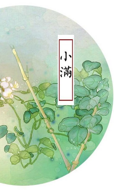 【南山】小满记（古韵）