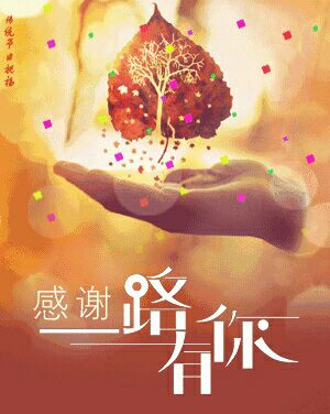 【八一】根叶恋歌（散文·家园）