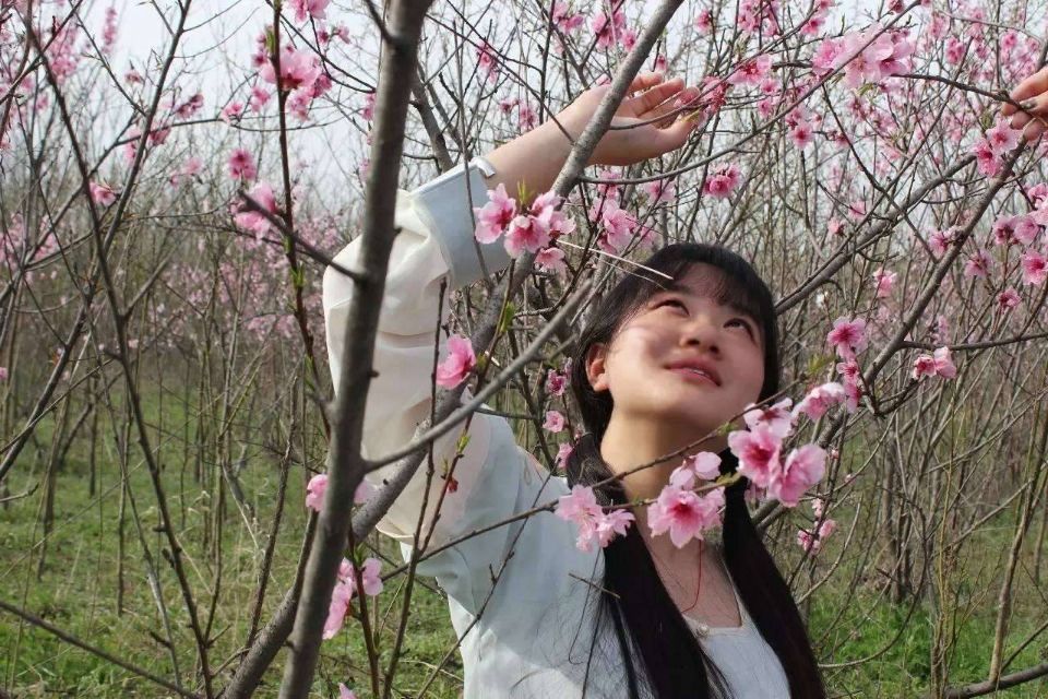 【八一】小桃（小说）