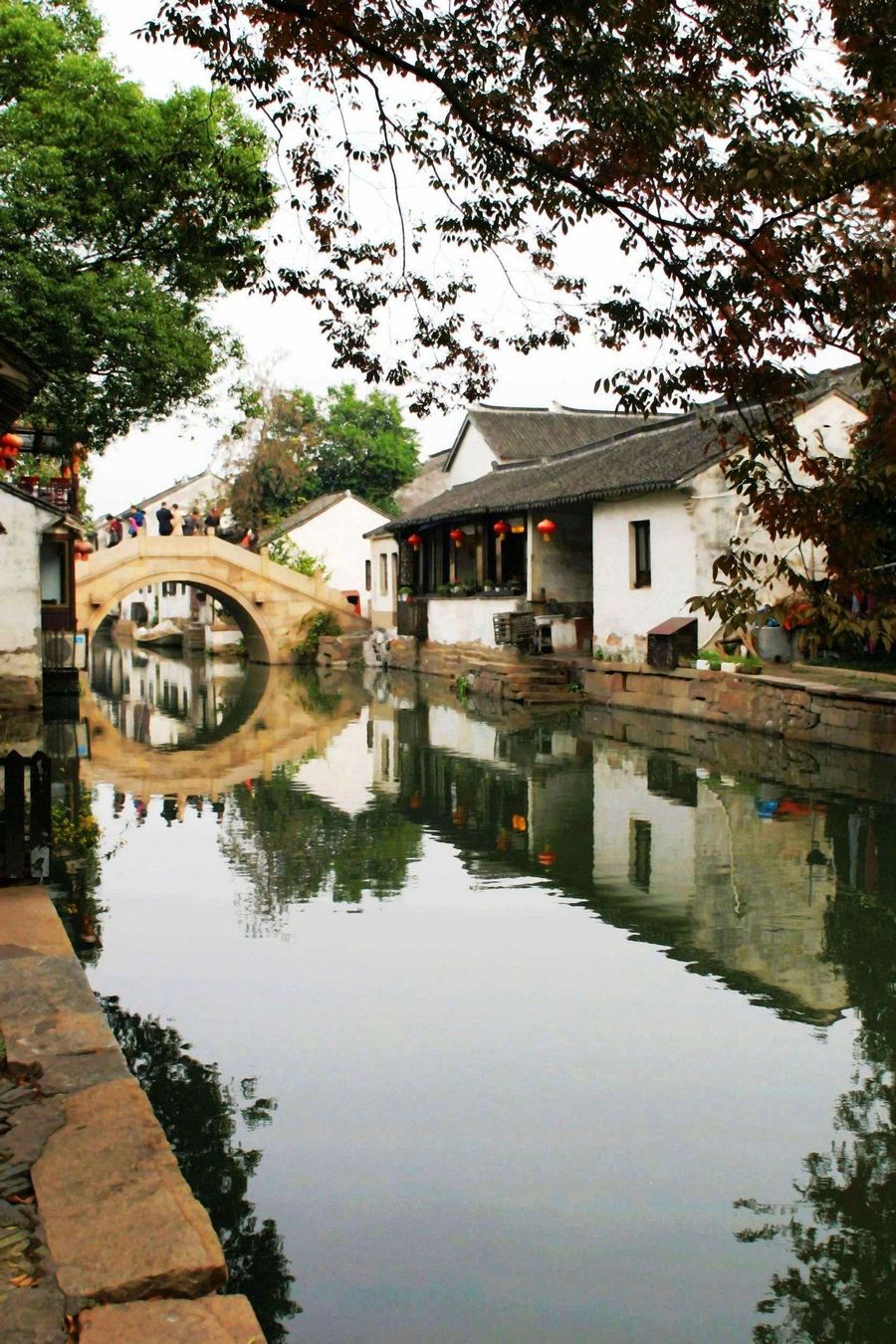 【凤凰】悠悠水乡情（散文）