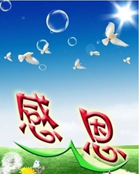 学会感恩（随笔）