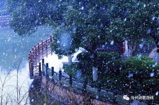 【八一】满庭芳•秋日寄兴（古韵外三阕）
