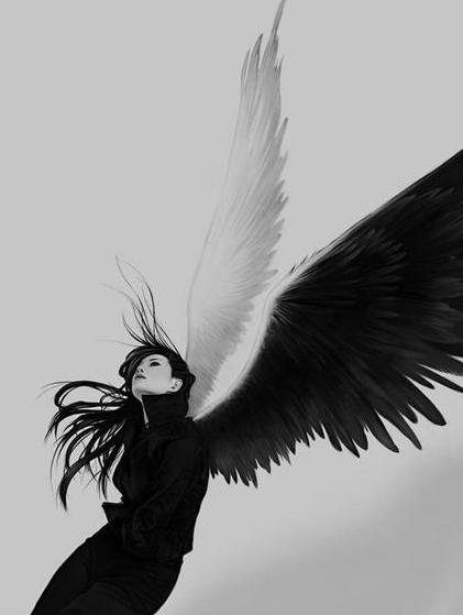 【雀巢】黑天使在他唇上安眠(散文外一题)