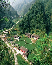 村庄