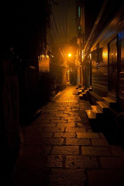 【八一】无路可走（小说）