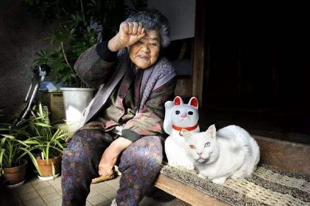 【丁香•祝福丁香】老人和猫（小说）
