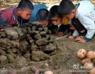 烤红薯（记叙文）