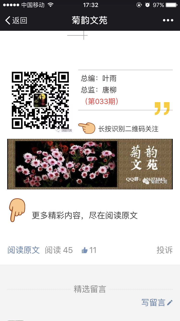 【菊韵】不言情深，只说盛景