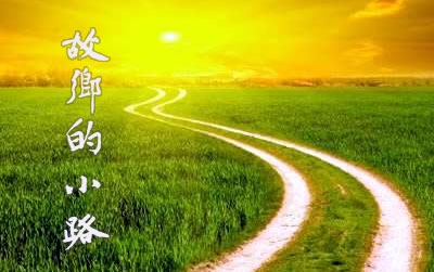【八一】故乡的小路（散文）