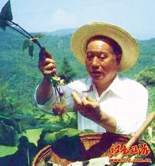 【丁香】父亲心中的覃祥官(散文)
