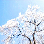 【浪花】渴盼一场雪（诗歌/外二首）