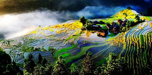 【八一】寻找小锦花（小说）