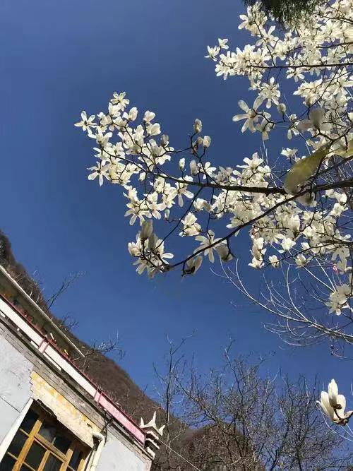 【晓荷·实力写手】四月的天（组诗）