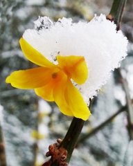 【天涯】雪（外一首）